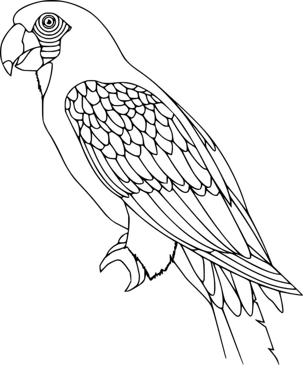 Burung Beo yang Realistis