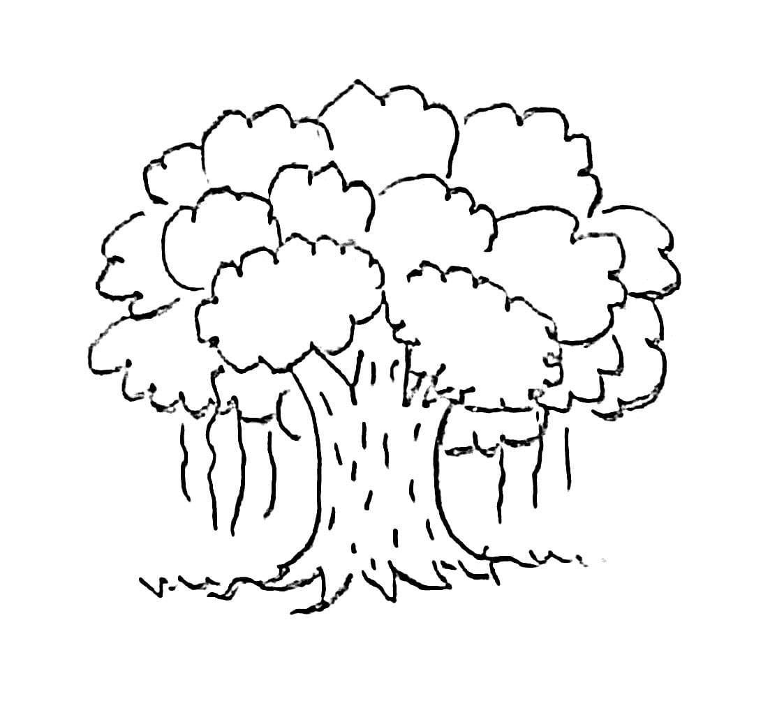 Cetak Pohon Beringin