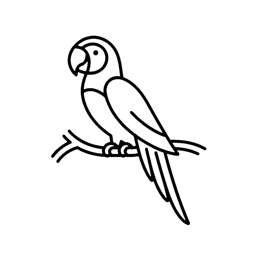 Gambar burung beo yang cantik