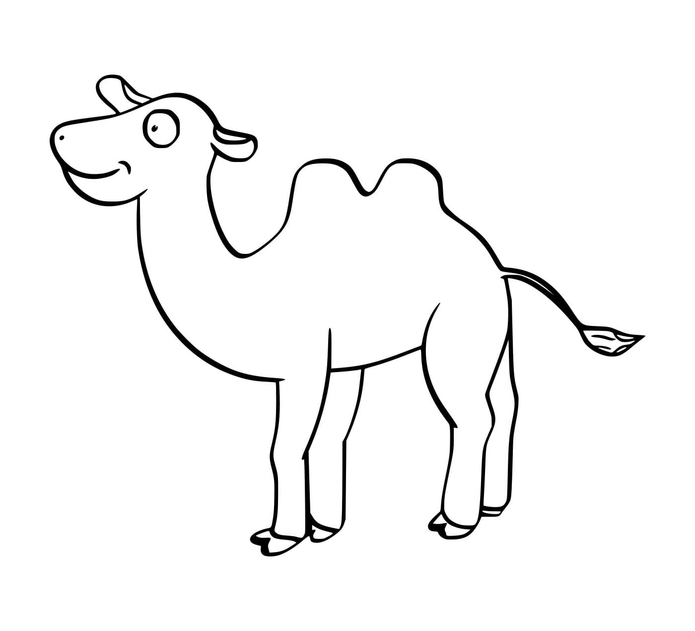 Gambar Unta Baktria yang Lucu