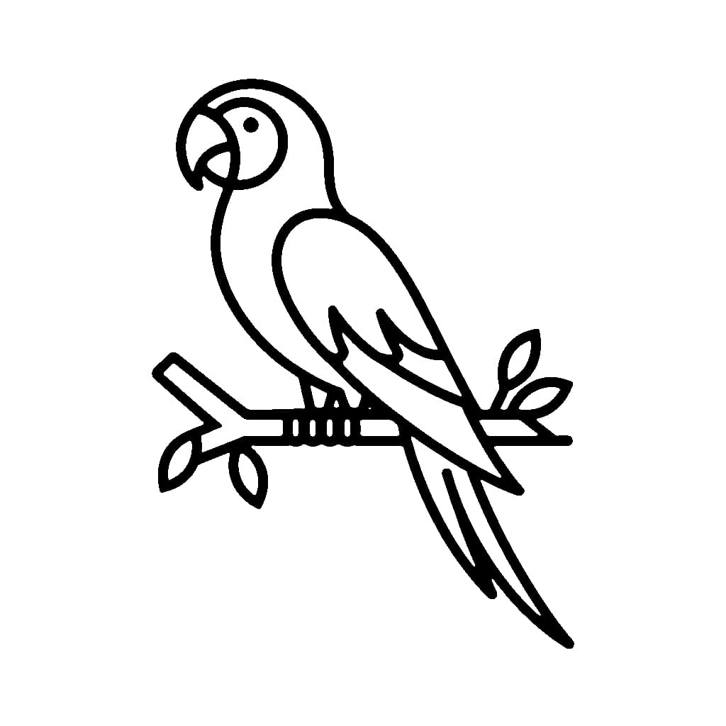 Garis besar burung beo