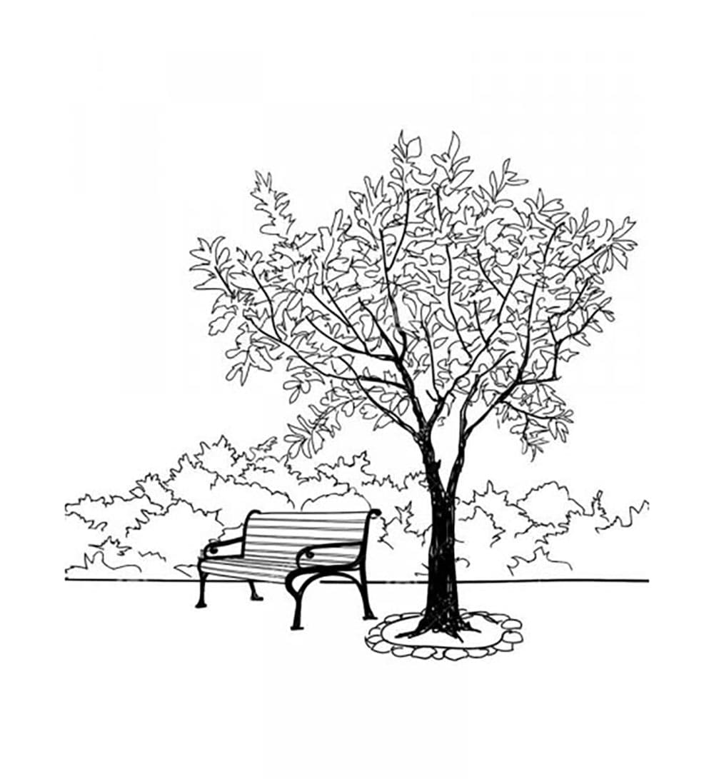 Kursi dan pohon di Taman Kota