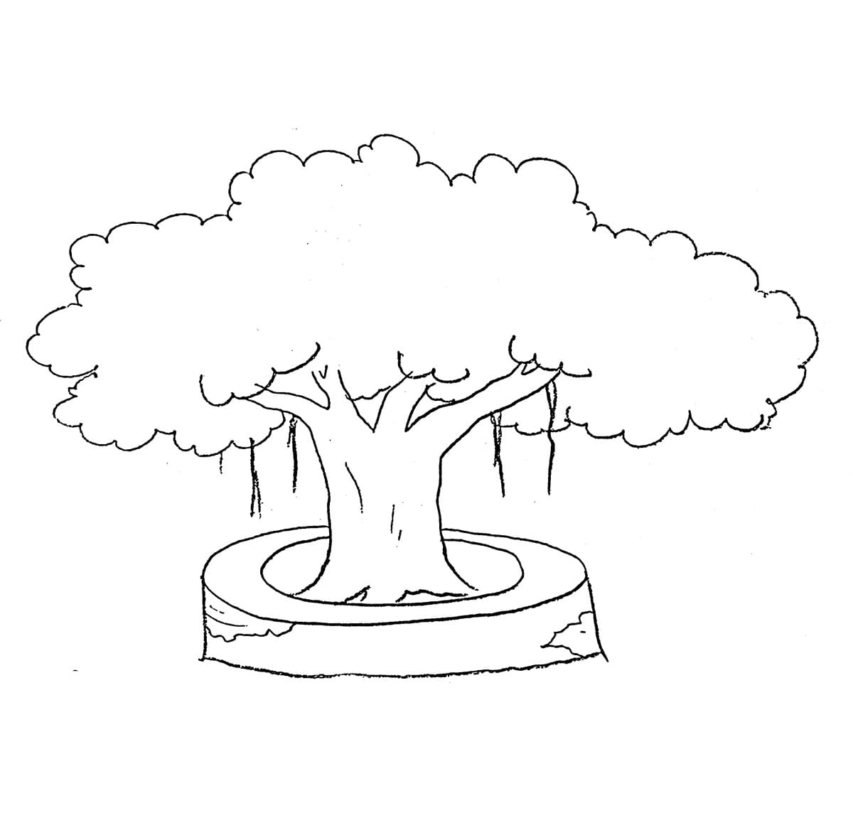 Lindungi Pohon Beringin