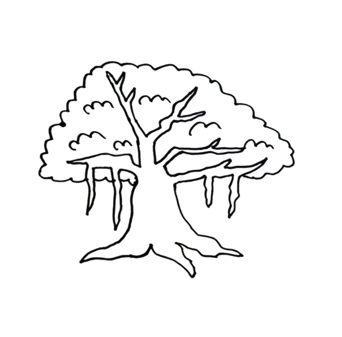 Menggambar Pohon Beringin