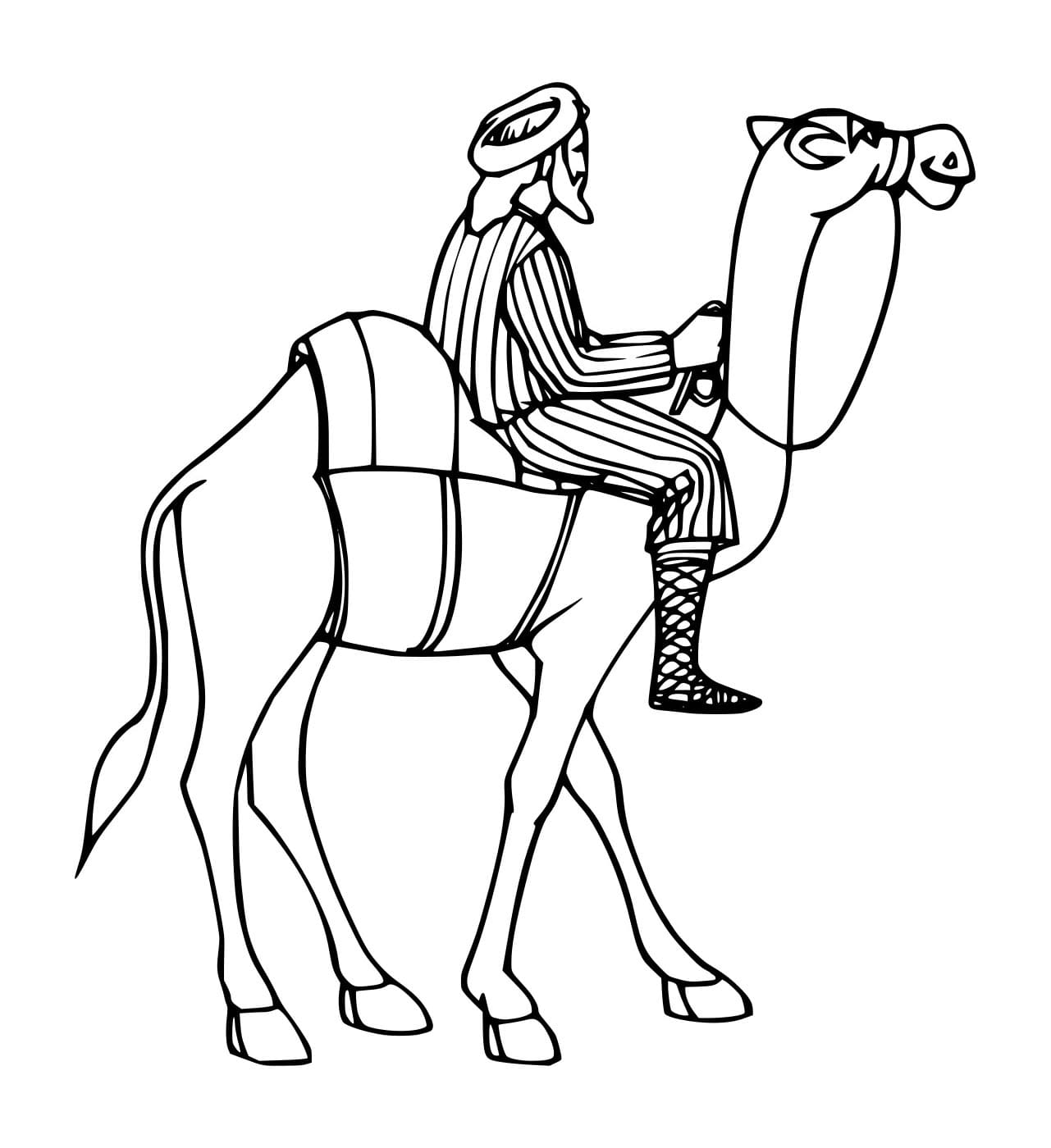 Orang Arab Mengendarai Unta