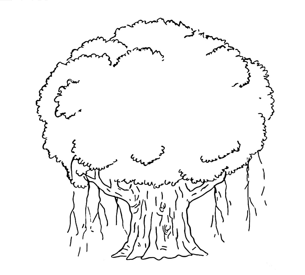 Pohon Beringin Besar