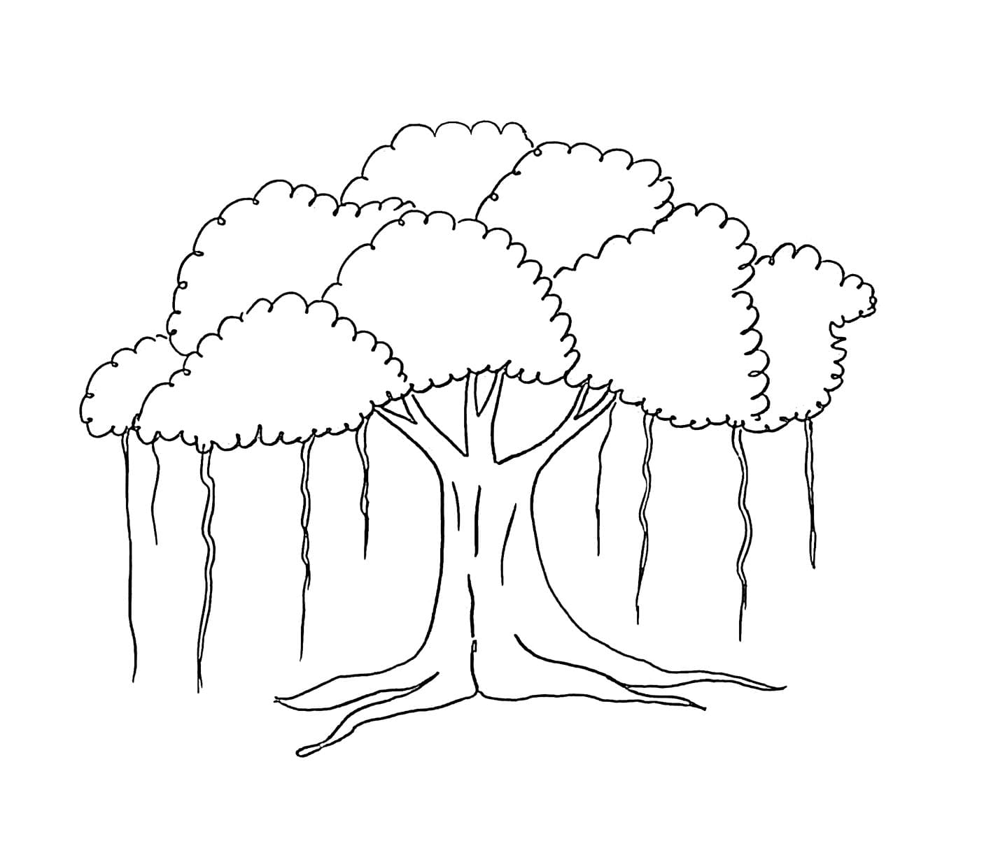 Pohon beringin itu sangat sederhana