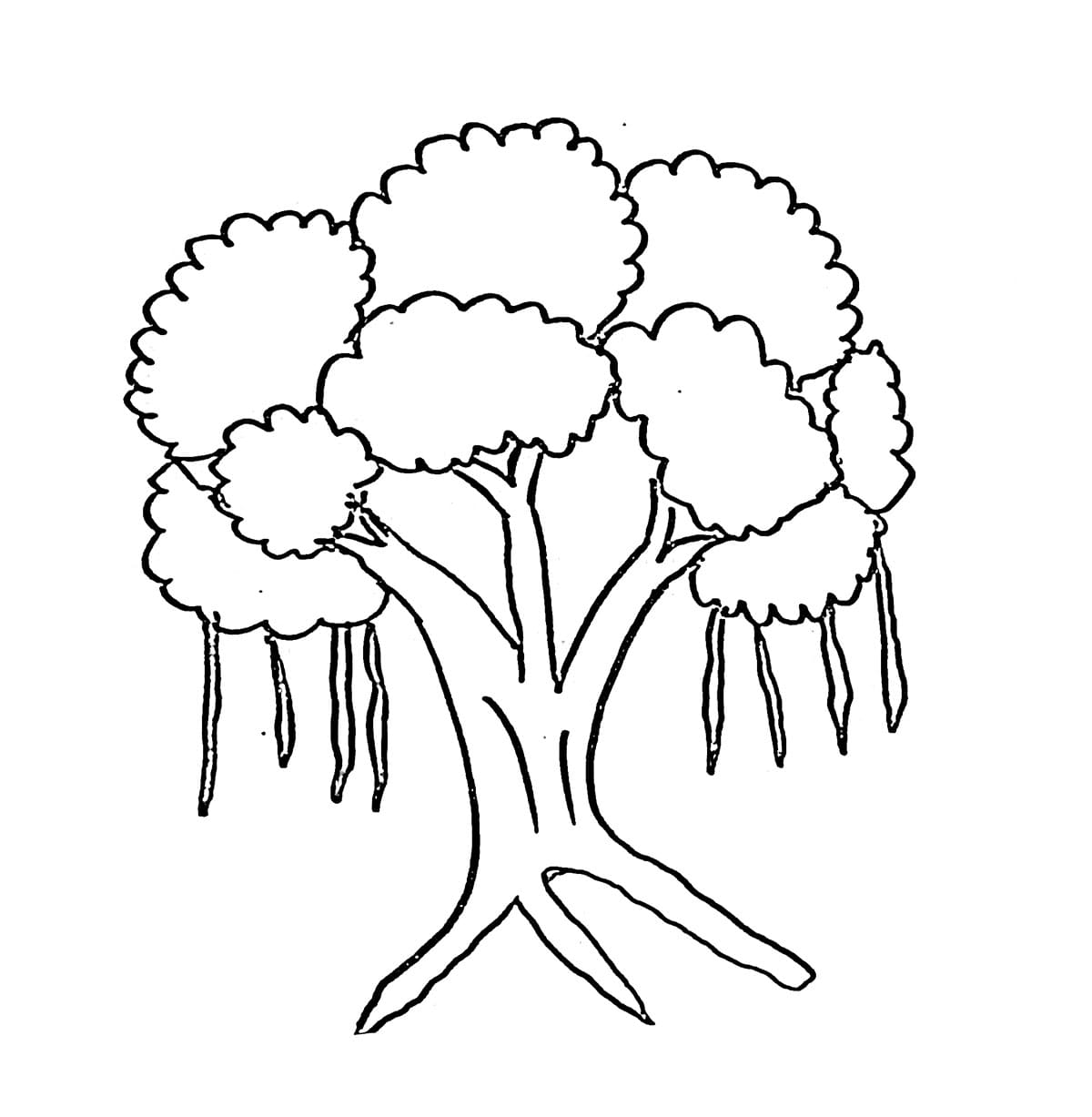 Pohon beringin kecil