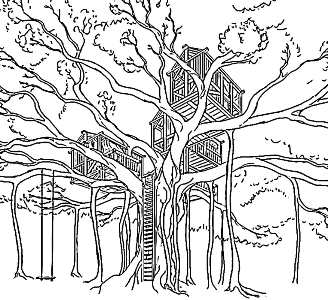 Pohon Beringin Raksasa