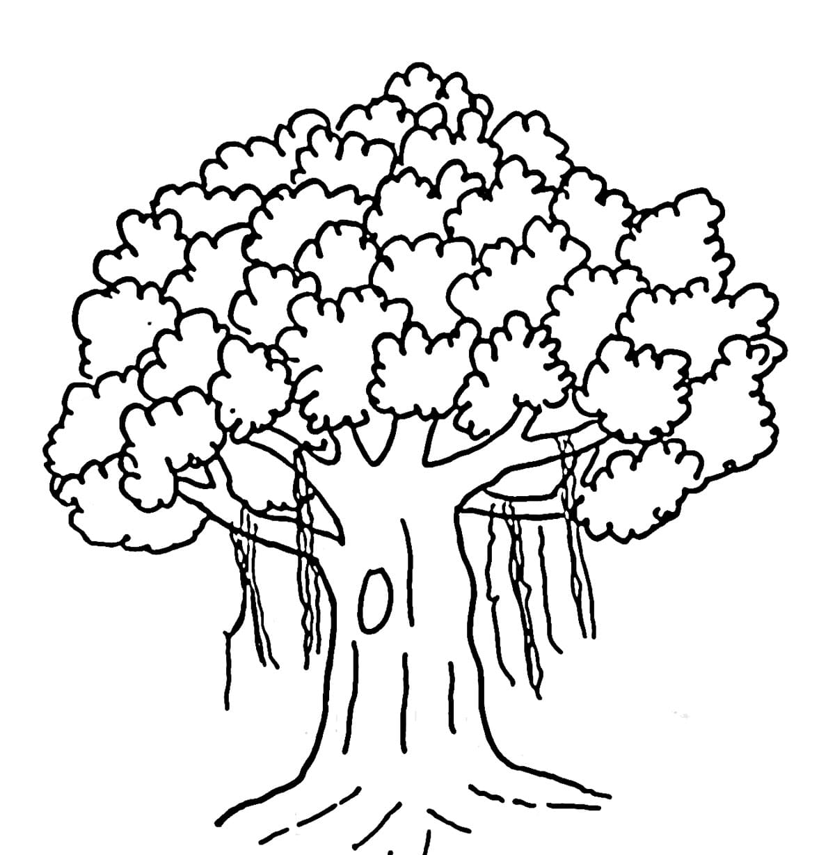 Pohon beringin untuk anak-anak