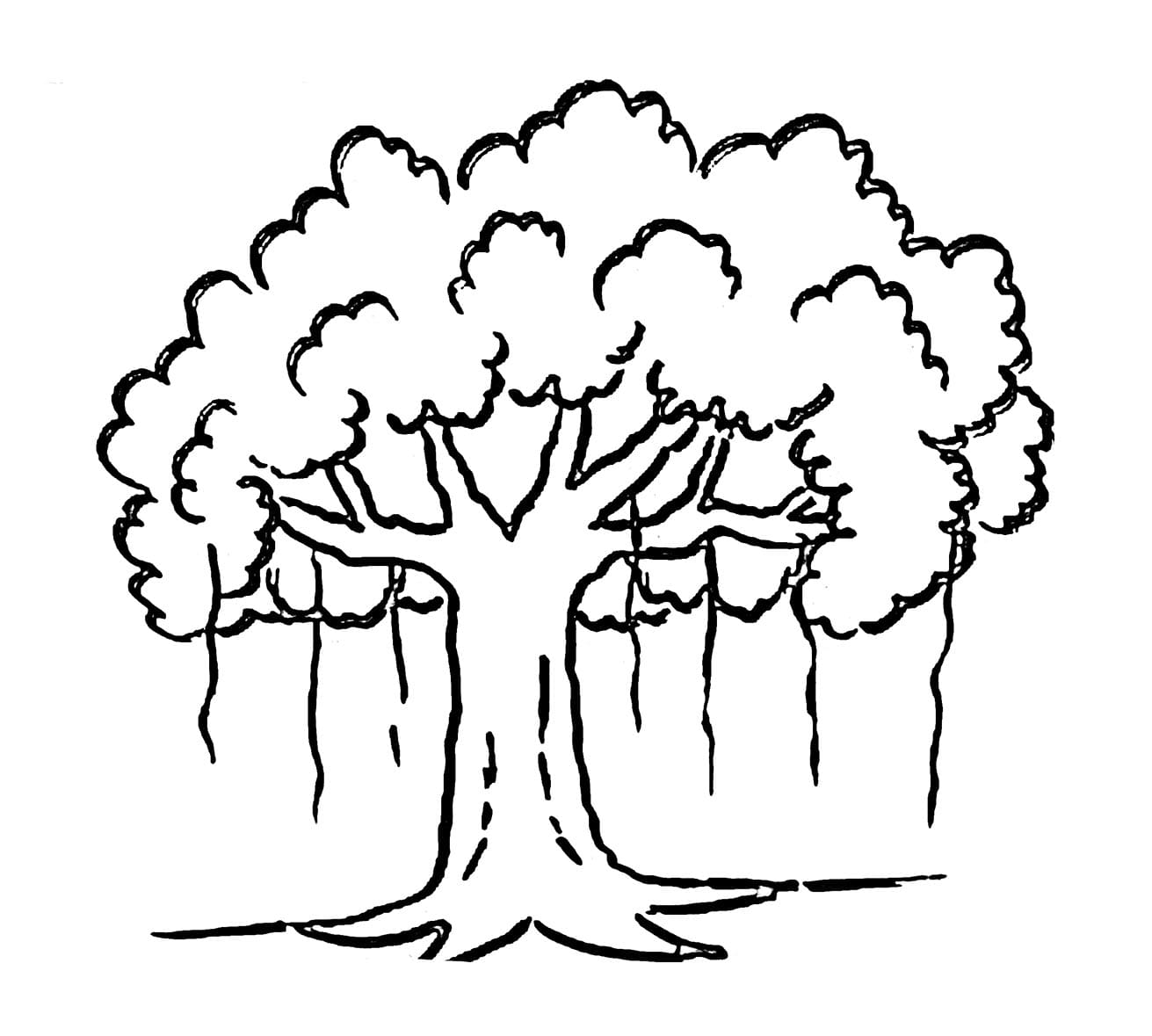 Pohon beringin untuk dicetak