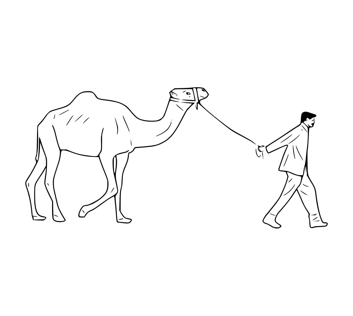 Seorang Pria dengan Unta