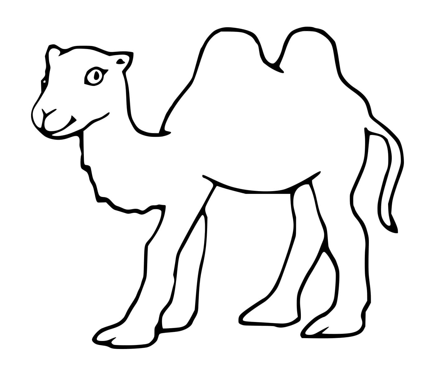 Unta Baktria Lucu dan Sederhana