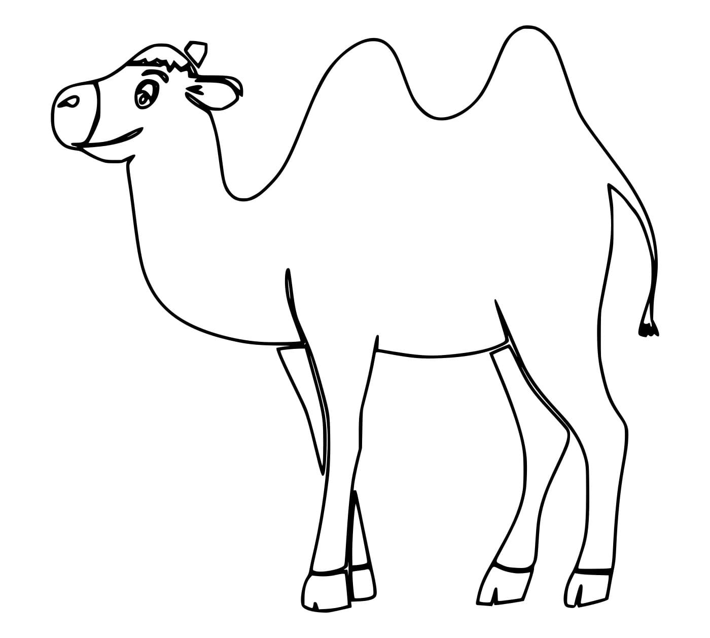 Unta Baktria yang Lucu