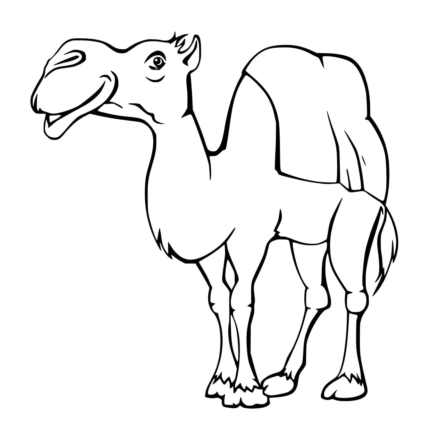 Unta Besar Sederhana