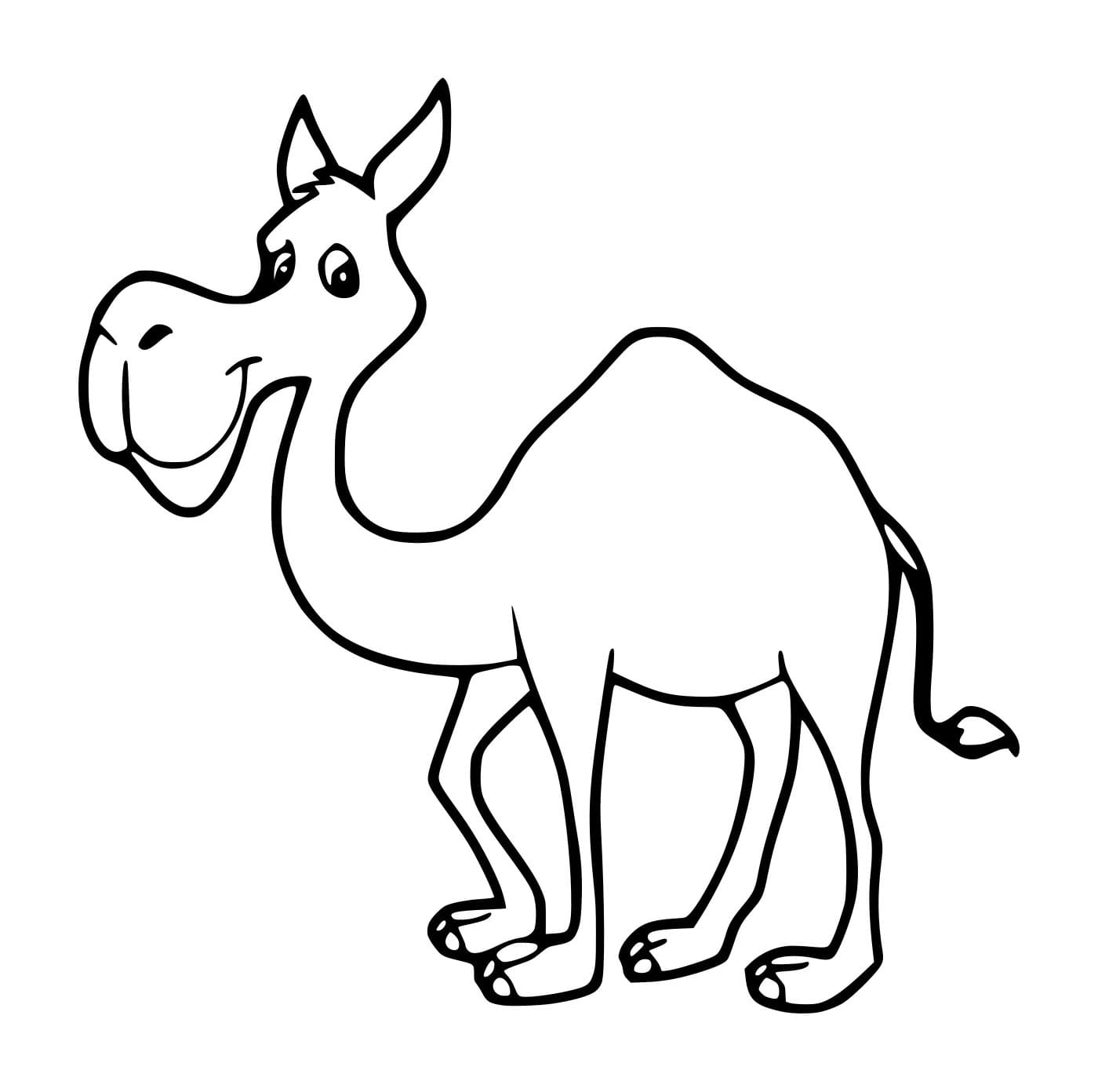 Unta Dromedaris Sederhana Lucu