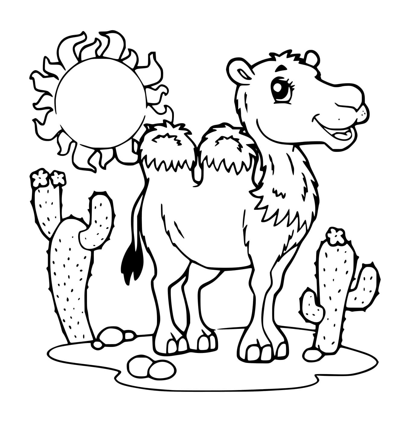 Unta Lucu dengan Kaktus