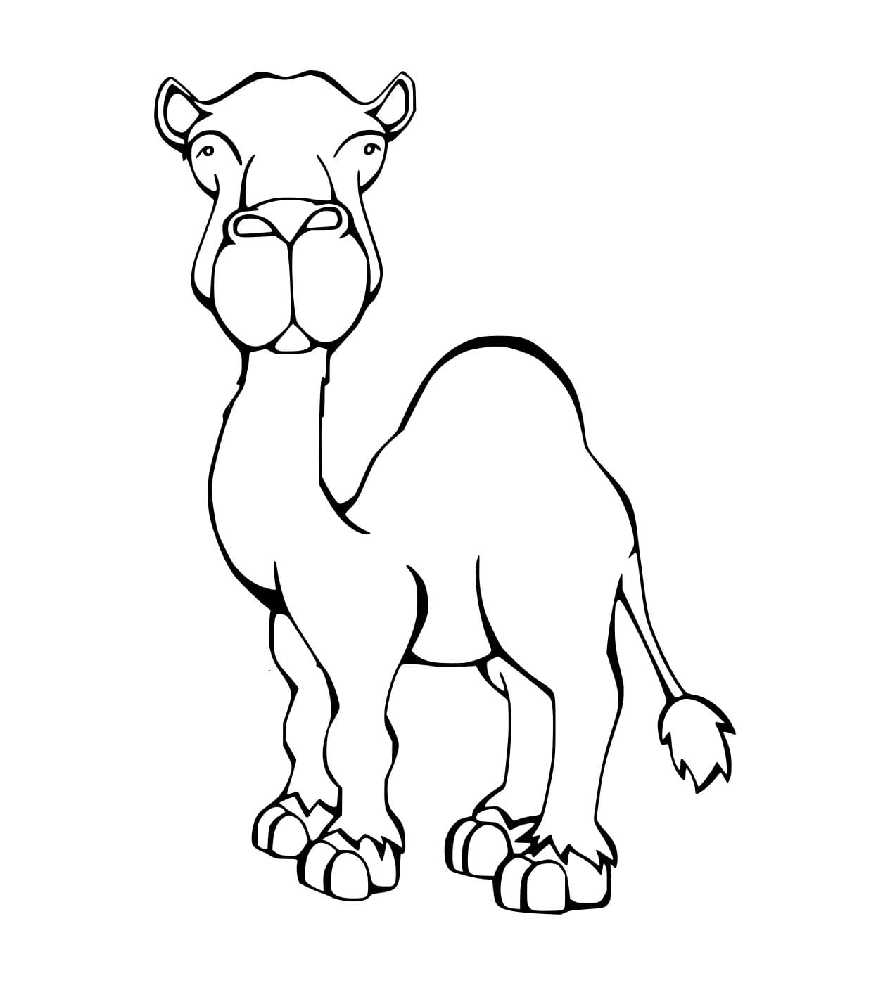 Unta Lucu yang Realistis