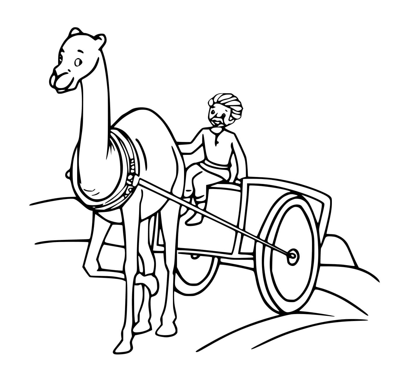 Unta Menarik Gerobak