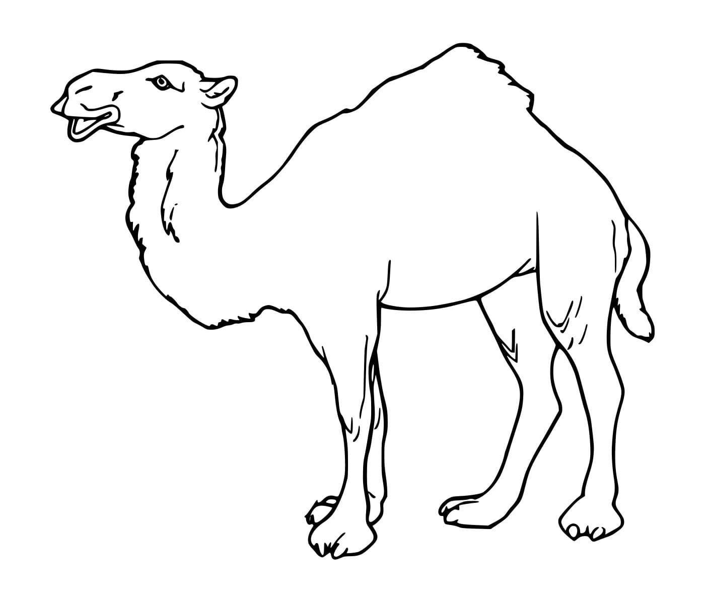 Unta Realistis Mudah