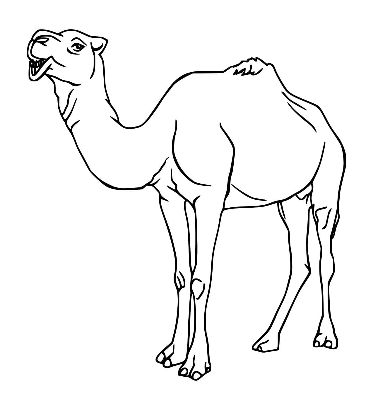 Unta Sederhana yang Realistis