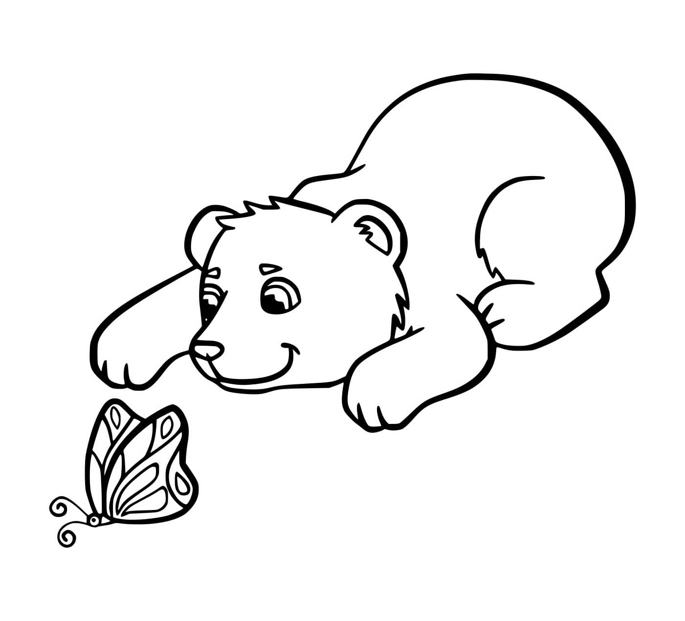 Anak Beruang dan Seekor Kupu-Kupu