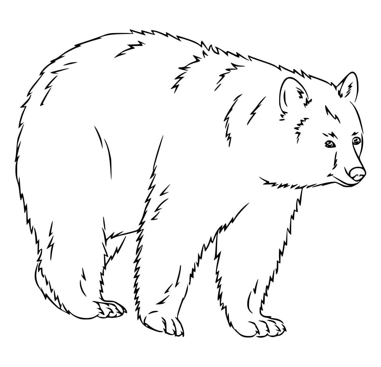 Beruang Berjalan Realistis