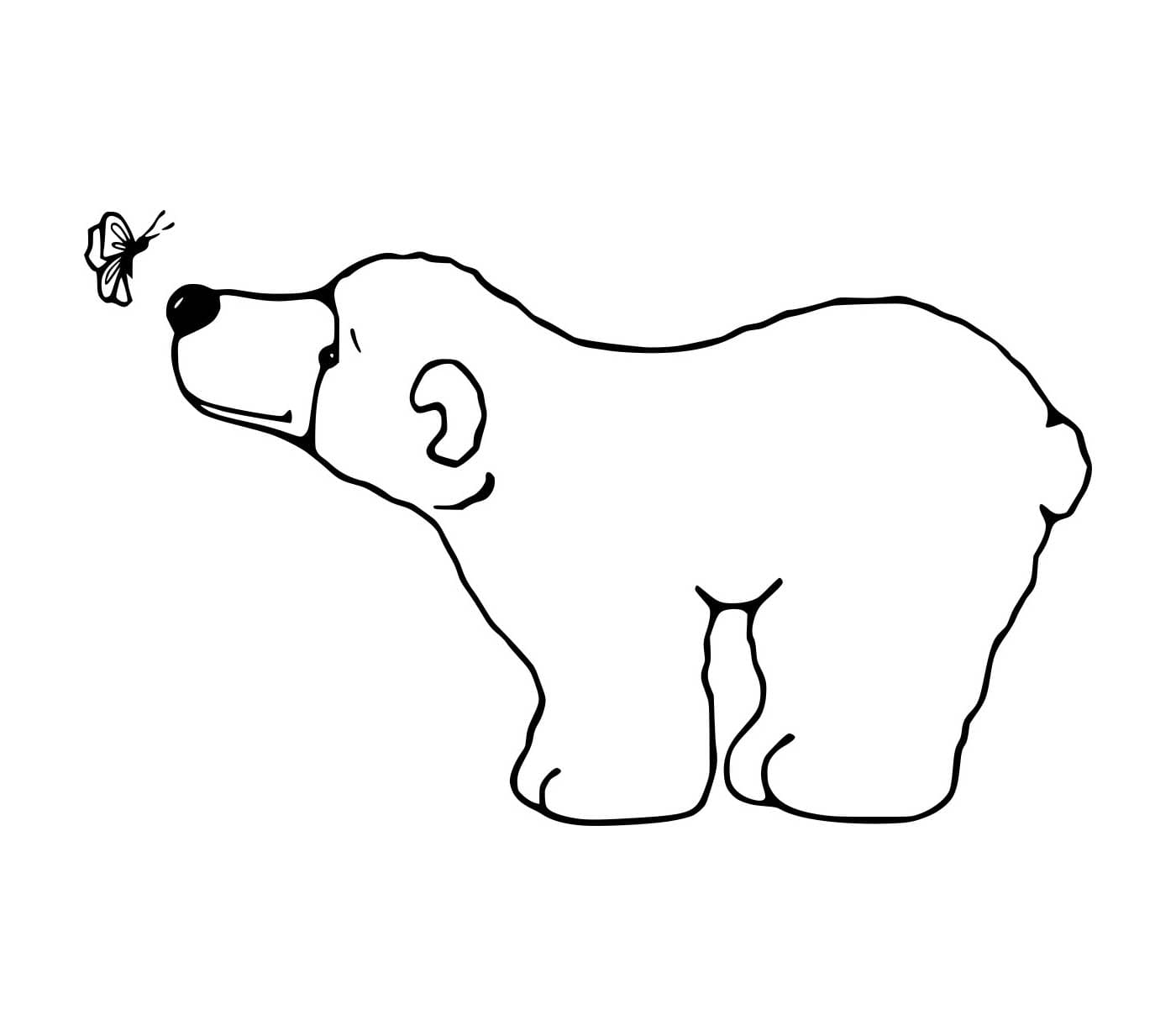 Beruang Kecil dan Kupu-Kupu