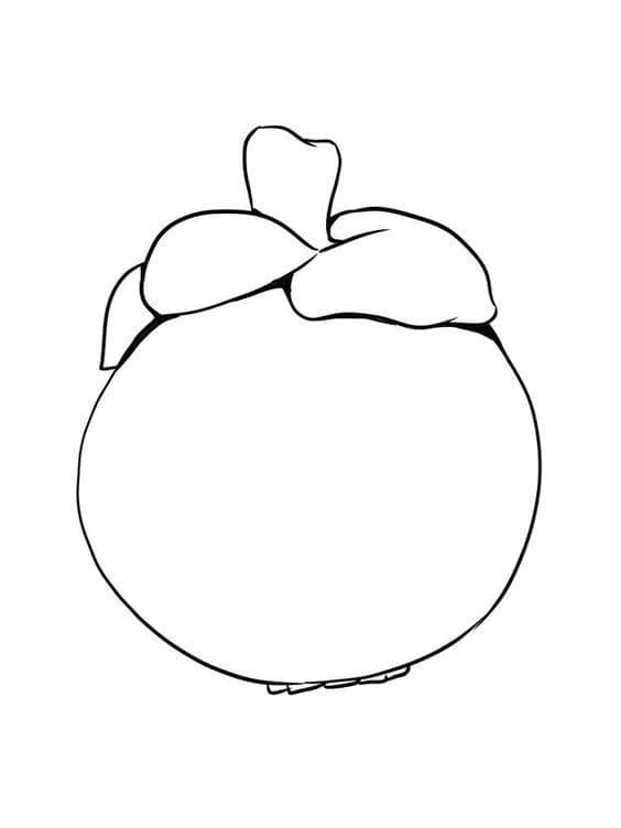 Buah manggis biasa gambar