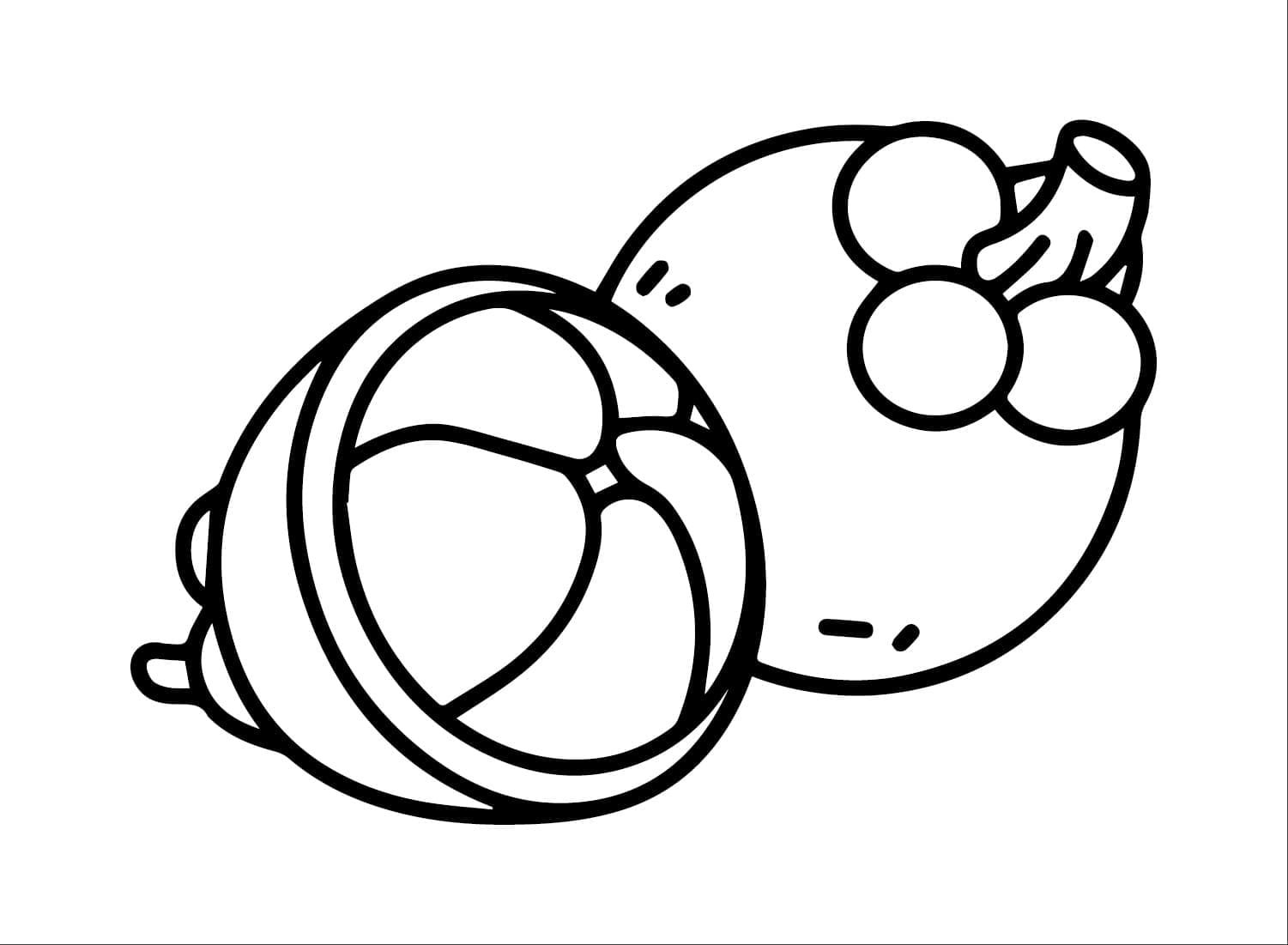 Buah Manggis yang cantik