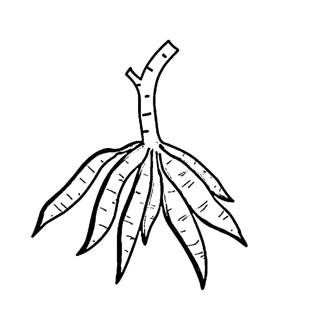 Cetak Singkong Dasar