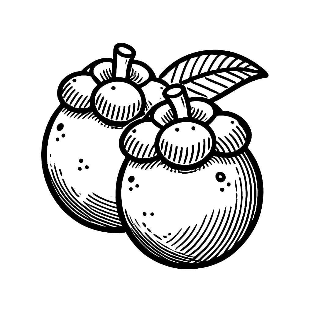 Dua Manggis Yang Cantik Dua Manggis Yang Cantik