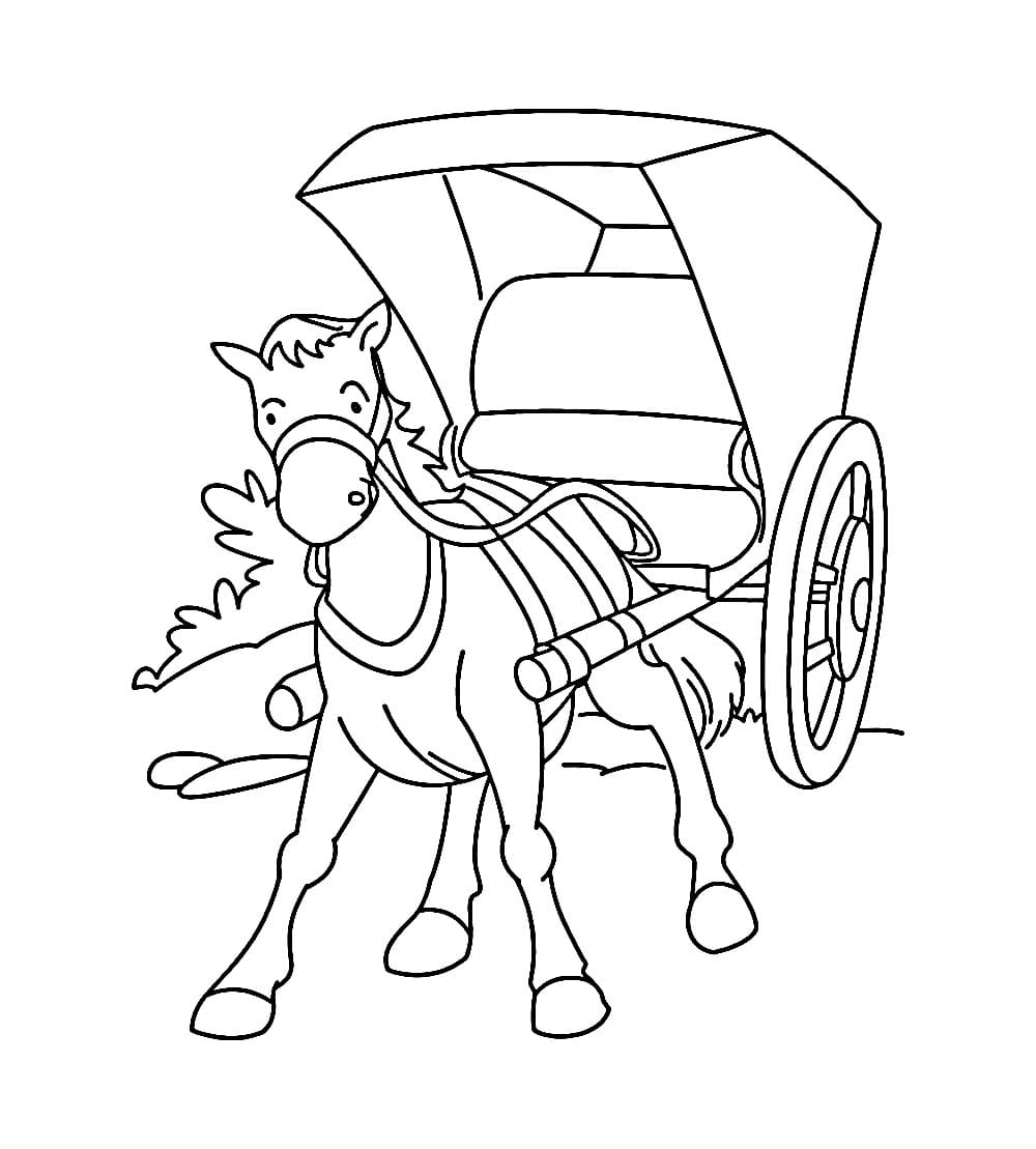 Kuda dan Delman yang Bagus