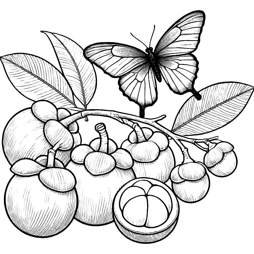 Manggis dengan kupu-kupu