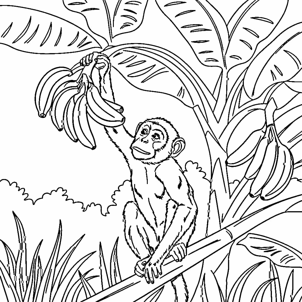 Monyet dan Pohon Pisang