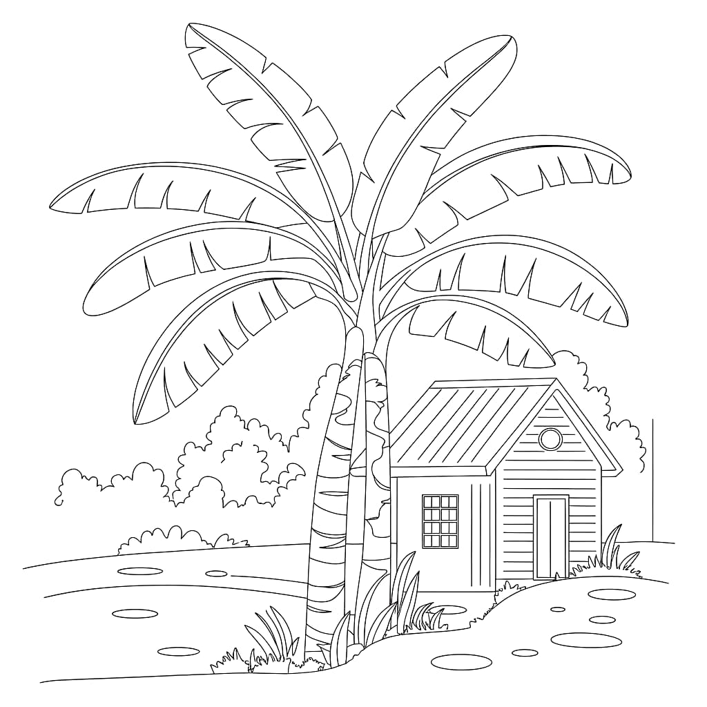 Pohon pisang di samping rumah