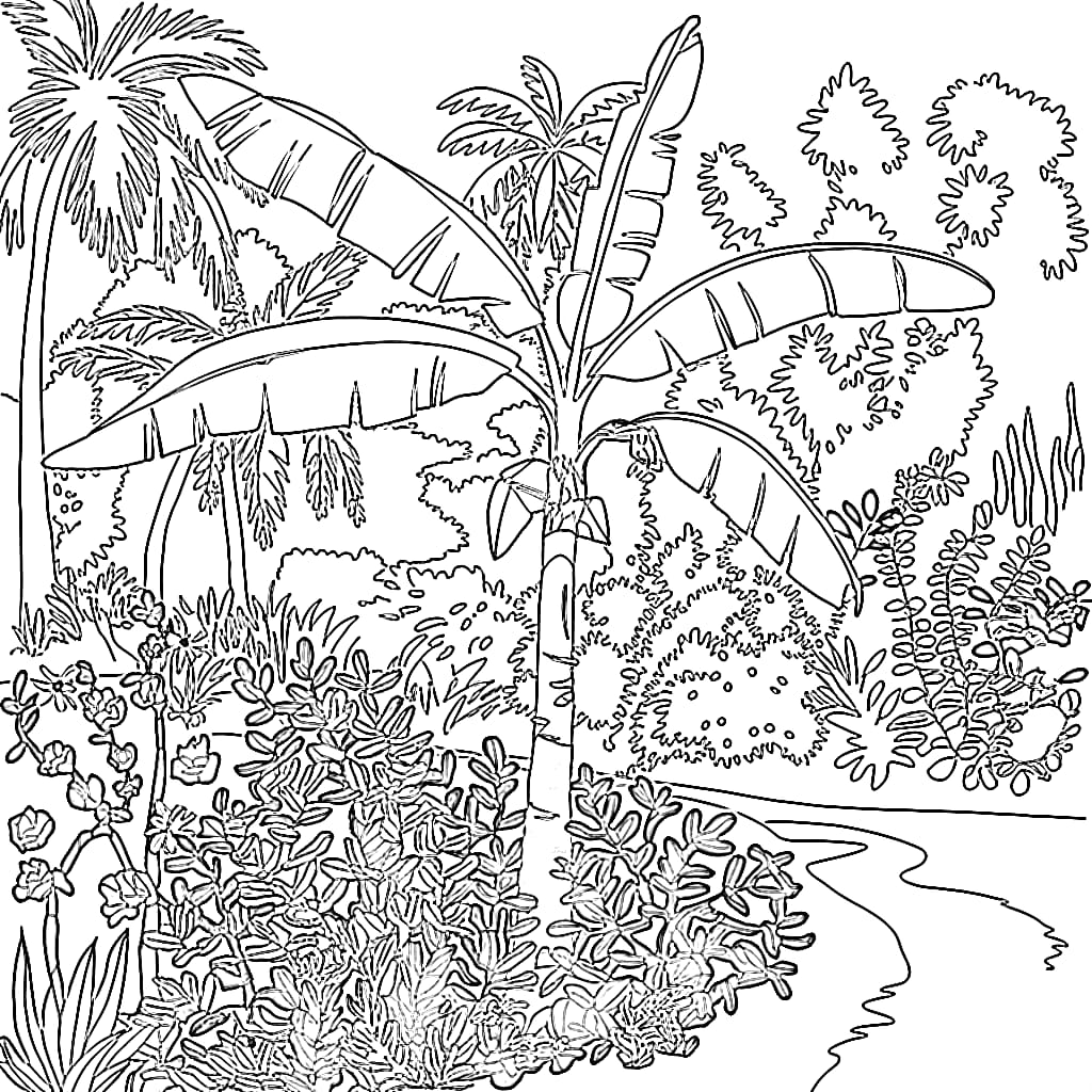 Pohon pisang di taman indah