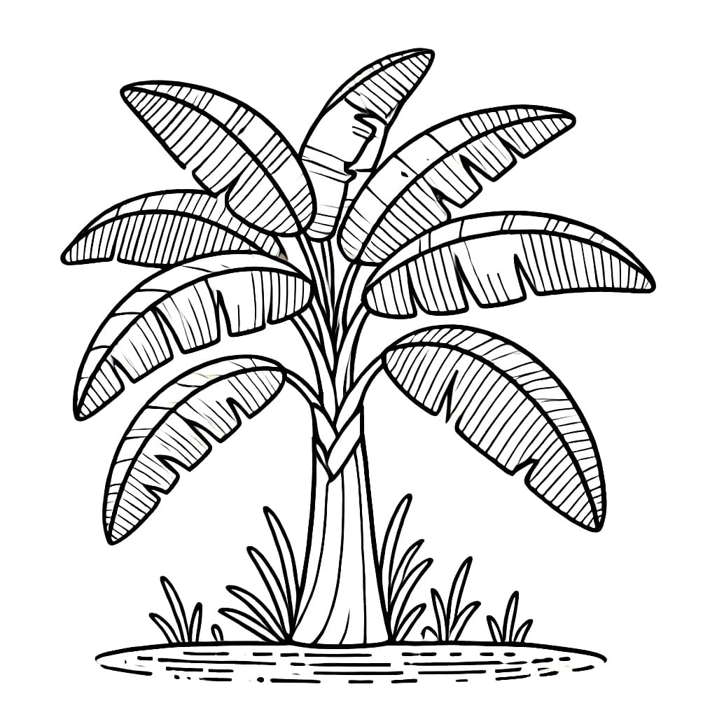 Pohon pisang yang subur