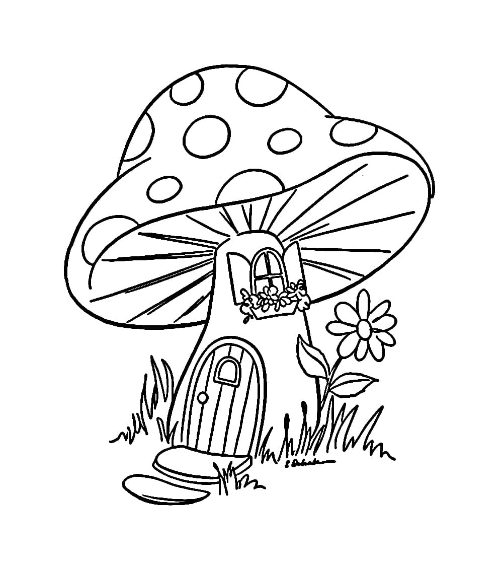 Rumah jamur dan bunga