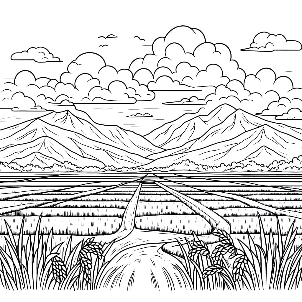 Sawah dengan pegunungan dan awan