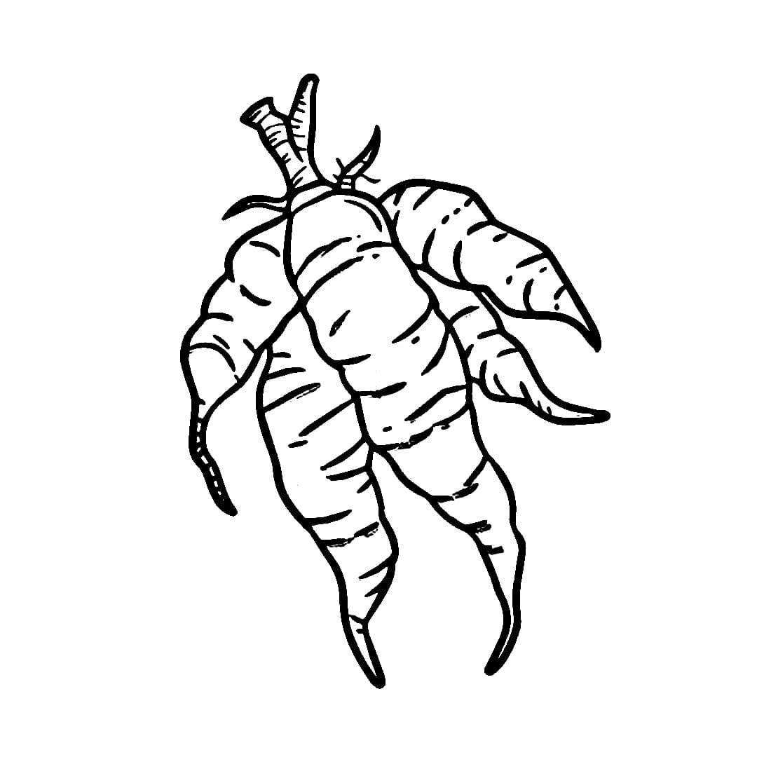 Singkong sederhana gratis