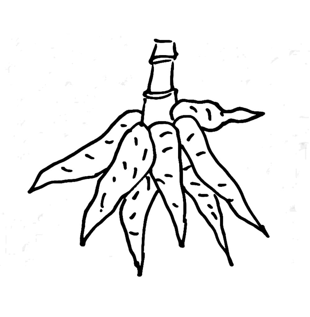 Singkong yang dapat dicetak