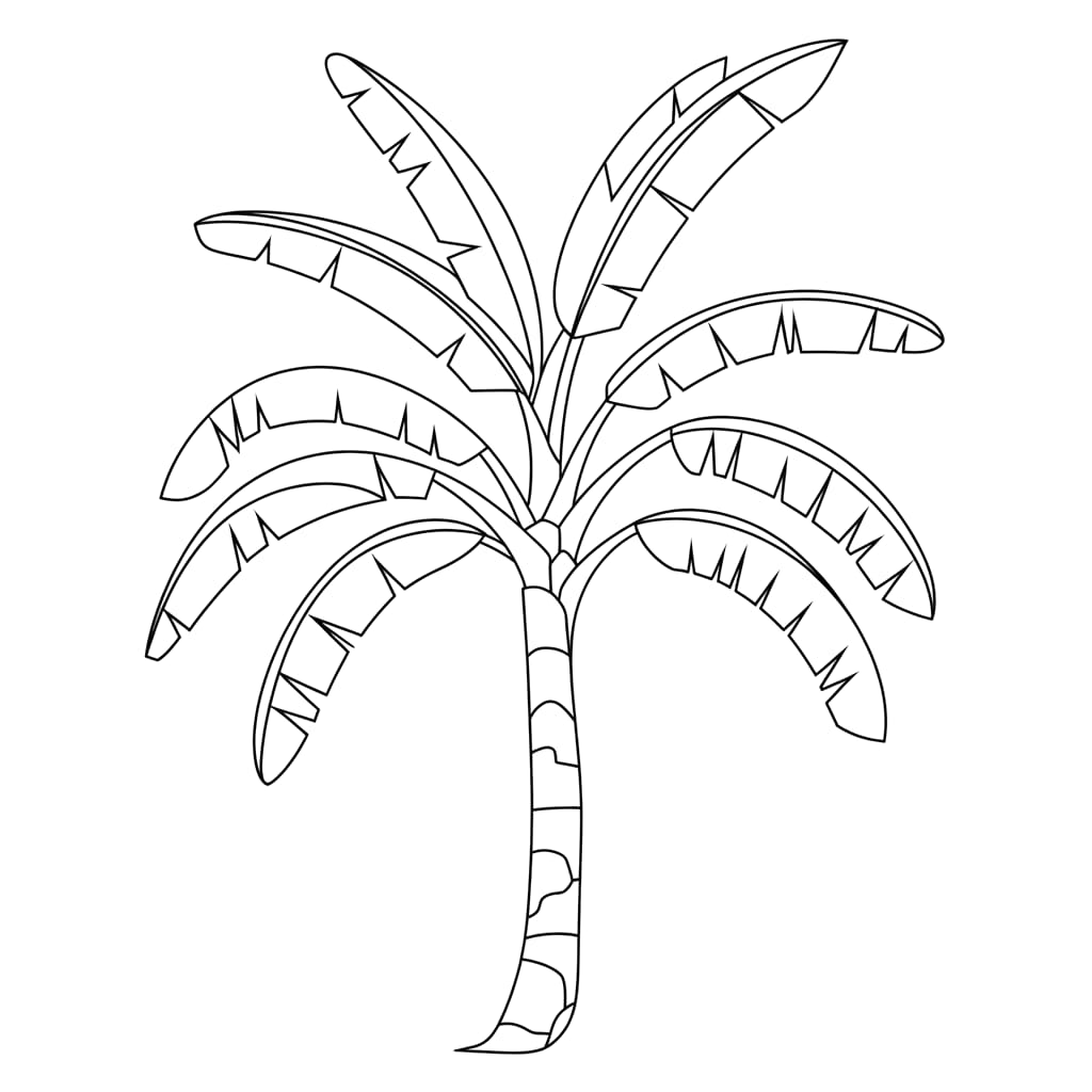 Sketsa Dasar Pohon Pisang