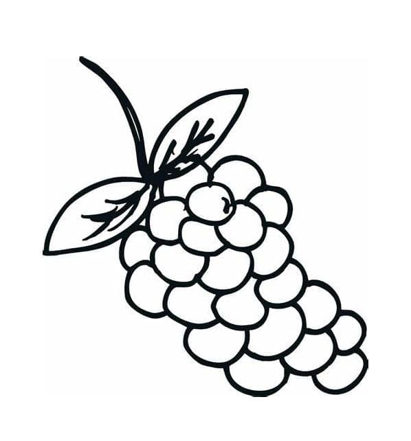 Cetak Gratis Anggur