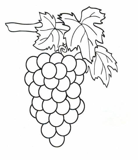 Gambar Anggur yang Dapat Dicetak