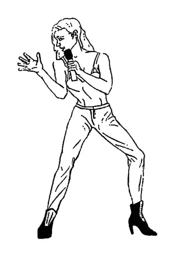 Garis besar gadis penyanyi