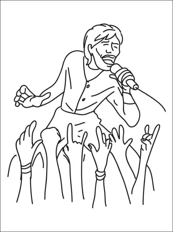 Garis besar penyanyi bintang rock