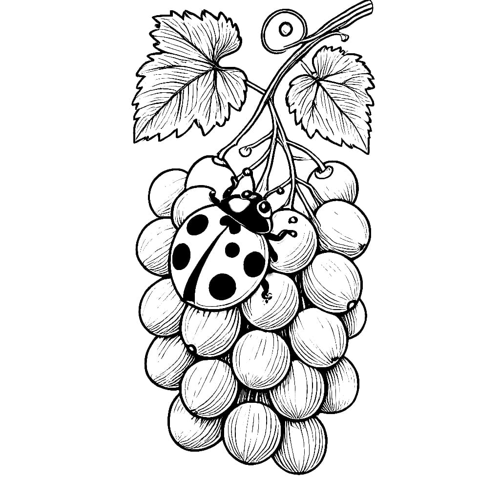 Kumbang kecil di atas anggur