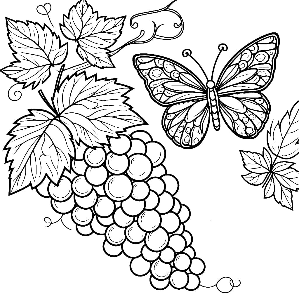 Kupu-kupu dan Anggur