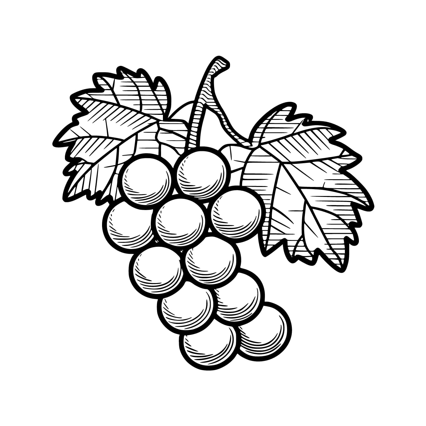 Pencetakan Anggur yang Mudah